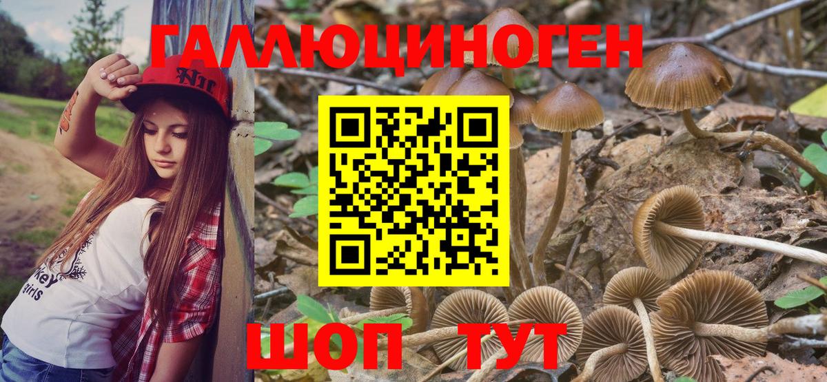 Галлюциногенные грибы Magic Shrooms  Псилоцибиновые грибы мухоморы  дарнет шоп  Вход с VPN  Ачхой-Мартан 